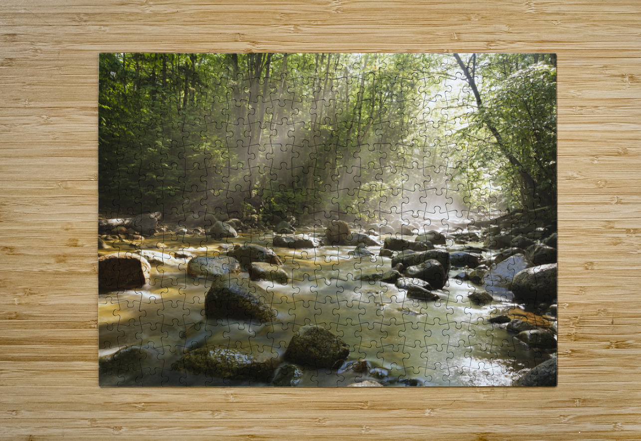 Cedar Brook - Pemigewasset Wilderness New Hampshire  HD Metal print with Floating Frame on Back