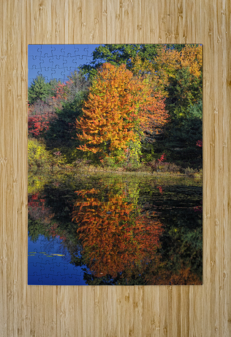Clark Pond - Auburn New Hampshire  HD Metal print with Floating Frame on Back