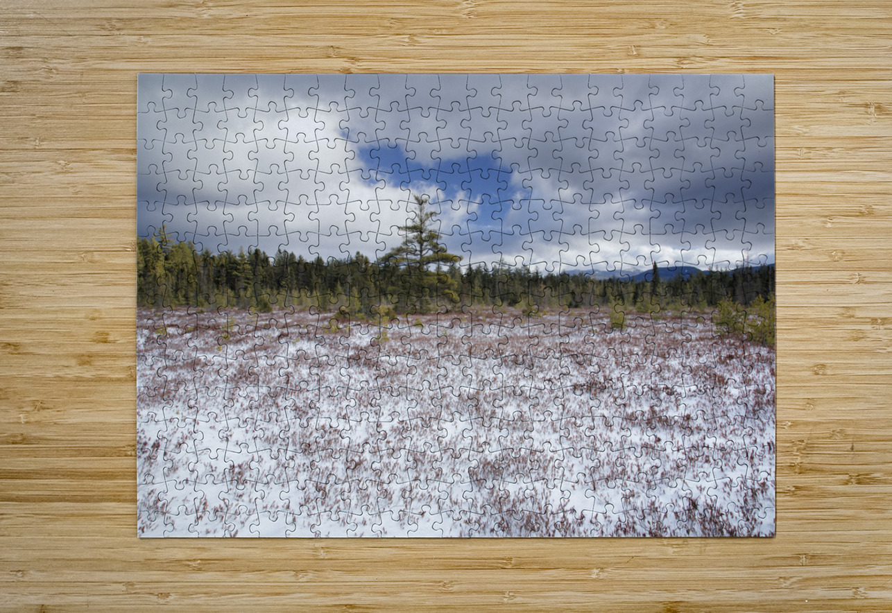 Church Pond - White Mountain National Forest  ScenicNH Photography Puzzle printing