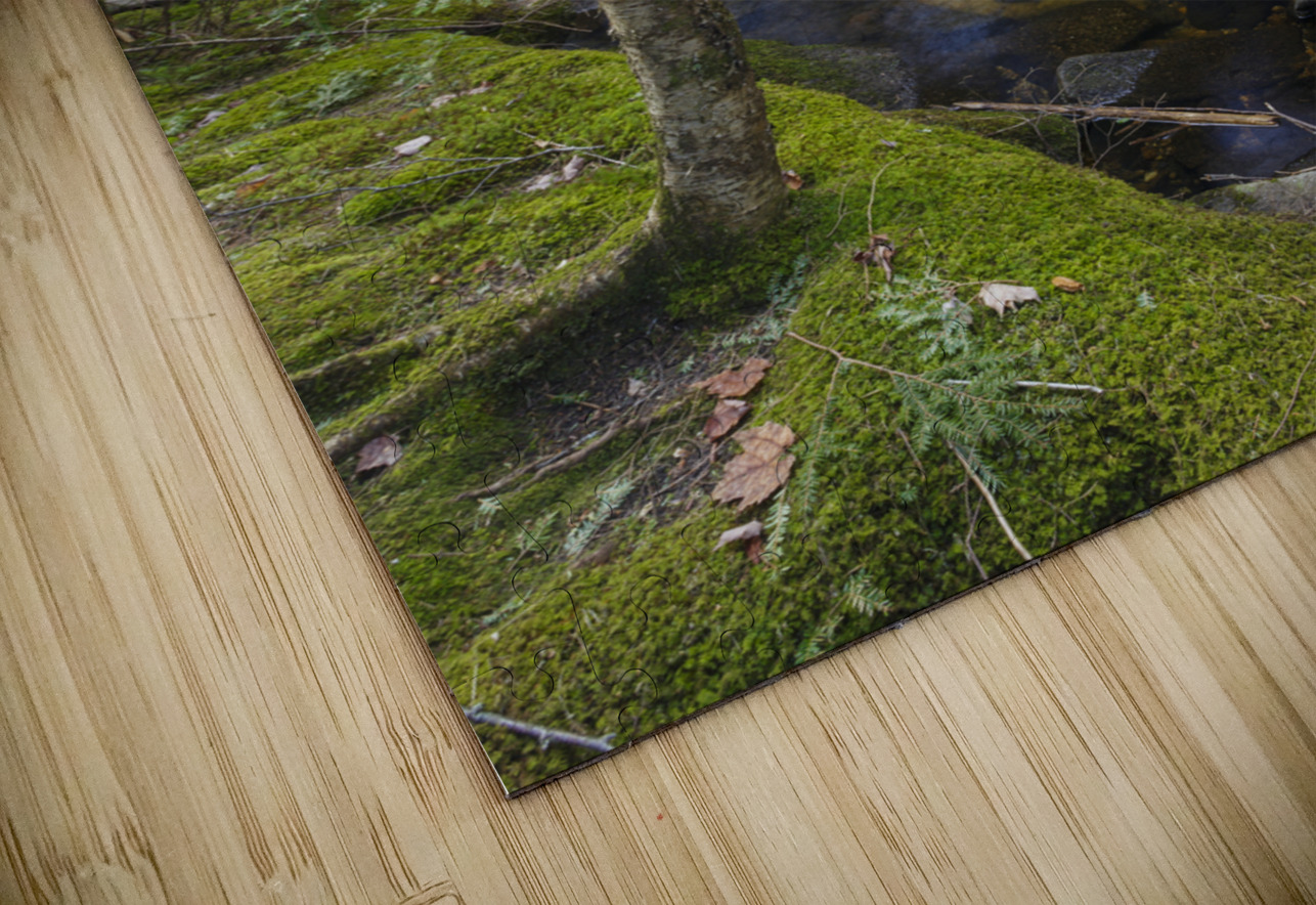Crooked Brook - North Woodstock New Hampshire HD Sublimation Metal print
