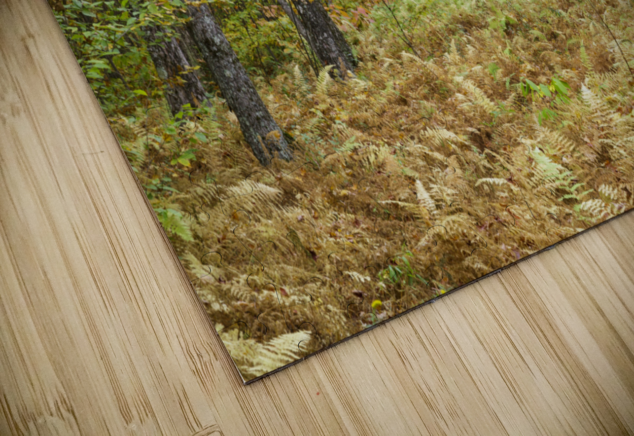 Gale River Road - Bethlehem New Hampshire ScenicNH Photography Puzzle