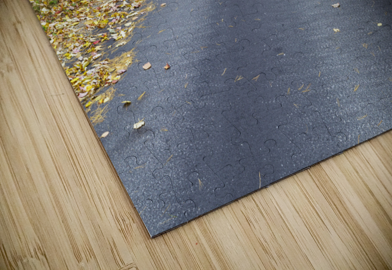 Tunnel Brook Road - Easton New Hampshire ScenicNH Photography Puzzle