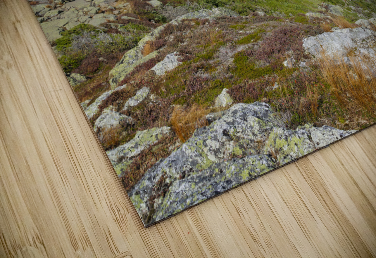 Crawford Path - Mt Monroe New Hampshire HD Sublimation Metal print