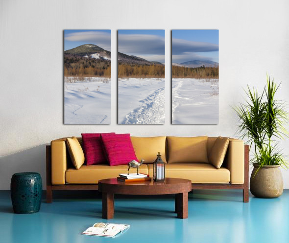 Downes - Oliverian Brook Ski Trail - White Mountains New Hampshire Split Canvas print