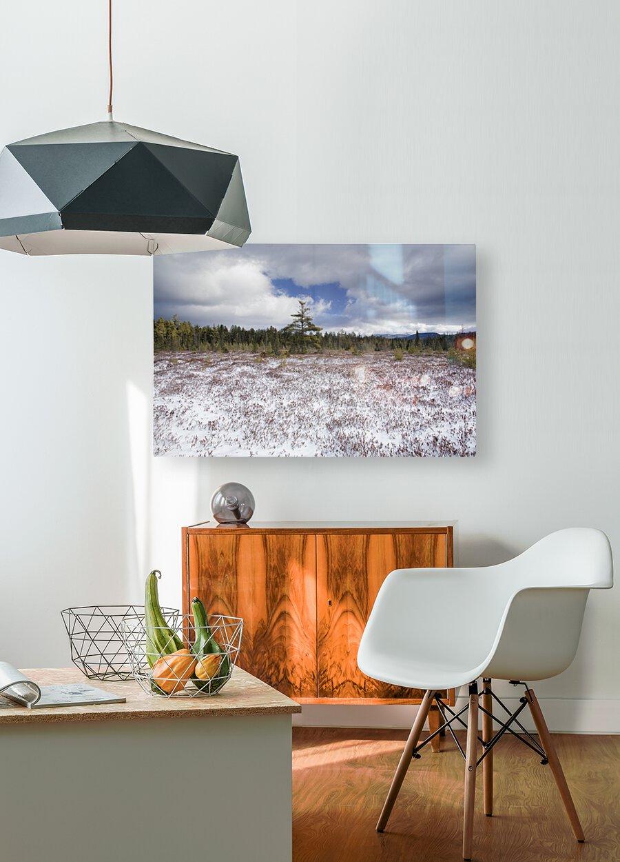 Church Pond - White Mountain National Forest   HD Metal print with Floating Frame on Back
