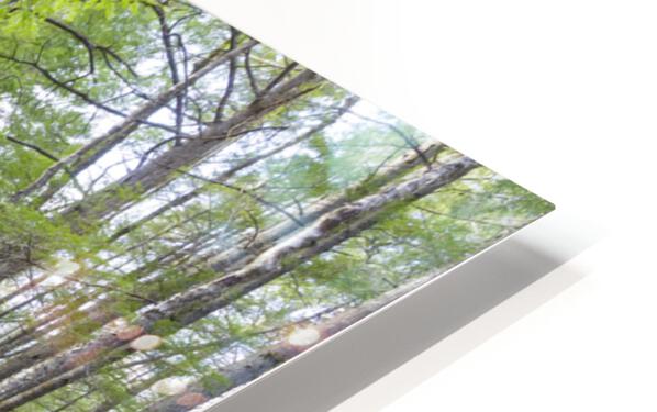 Crooked Brook - North Woodstock New Hampshire HD Sublimation Metal print