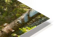 Georgiana Falls - Franconia Notch State Park New Hampshire Impression metal HD
