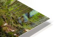 Franconia Notch - White Mountains New Hampshire HD Metal print