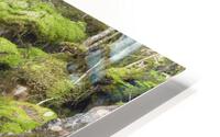 Duck Fall - Low and Burbanks Grant New Hampshire  HD Metal print