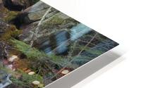 Birch Island Brook Falls - Lincoln New Hampshire HD Metal print