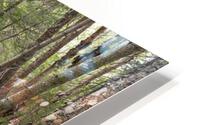 Thoreau Falls Trail - Pemigewasset Wilderness New Hampshire Impression metal HD