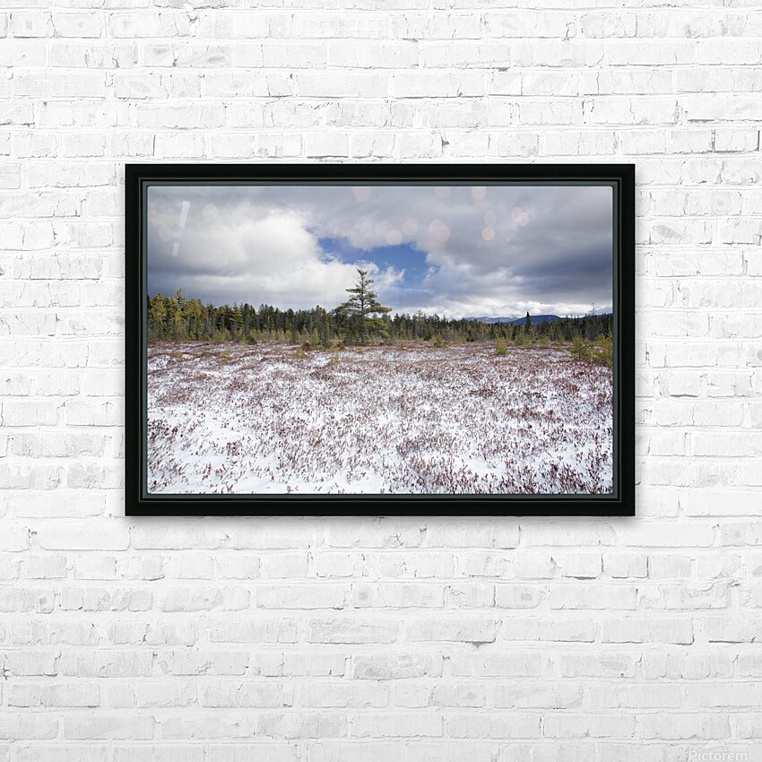Church Pond - White Mountain National Forest  HD Sublimation Metal print with Decorating Float Frame (BOX)