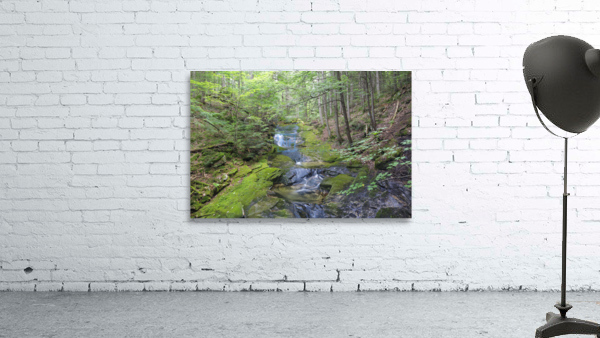 Mossy Glen - Randolph New Hampshire by ScenicNH Photography