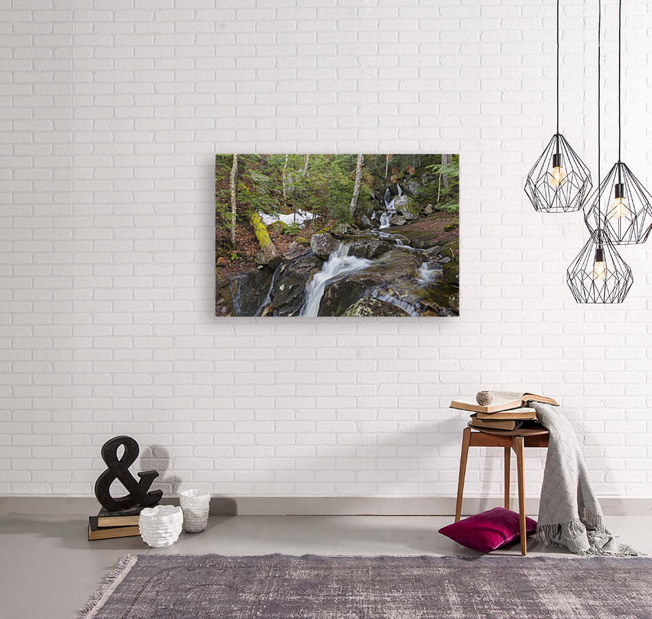 Elephant Head Brook - Carroll New Hampshire  Reproduction