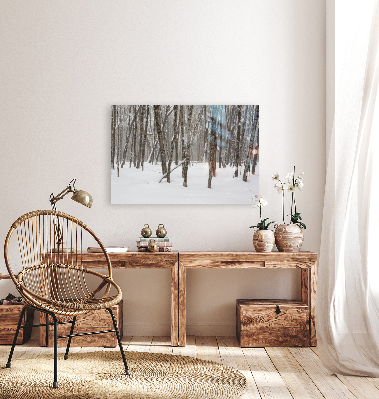 White Mountains New Hampshire - Hardwood forest Reproduction