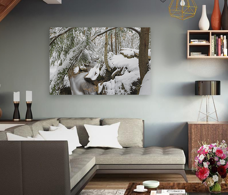 Pemigewasset River - Franconia Notch State Park New Hampshire Reproduction