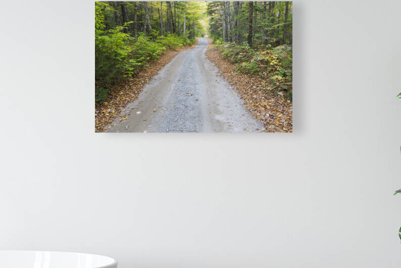 Sandwich Notch Road - Sandwich New Hampshire by ScenicNH Photography