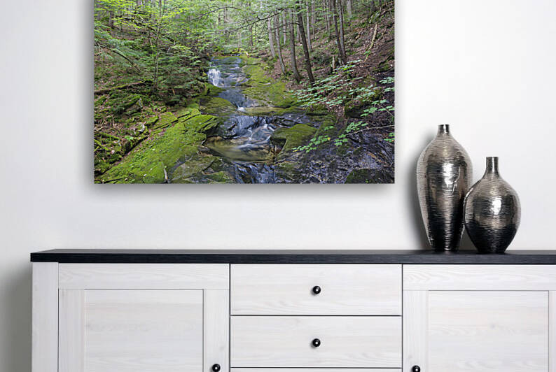 Mossy Glen - Randolph New Hampshire by ScenicNH Photography