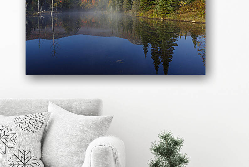 Wildlife Pond - Bethlehem New Hampshire by ScenicNH Photography