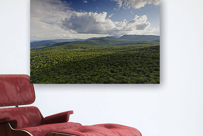 Mount Pemigewasset - Franconia Notch New Hampshire by ScenicNH Photography