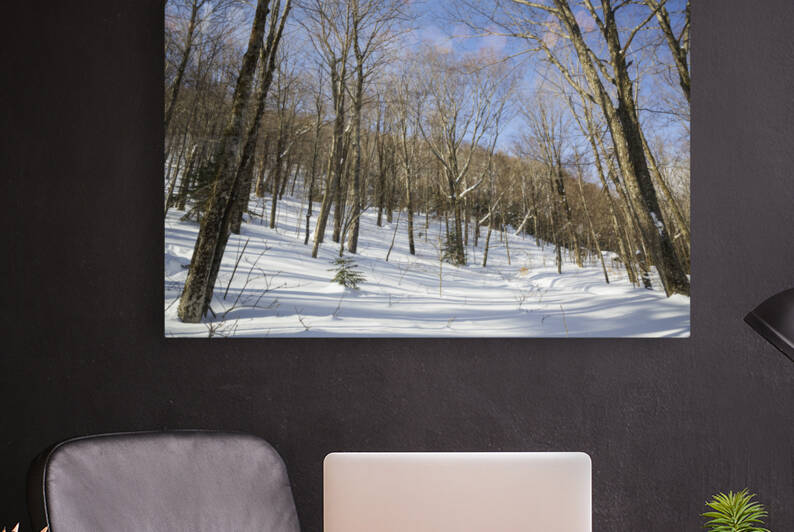 Kinsman Notch - North Woodstock New Hampshire by ScenicNH Photography