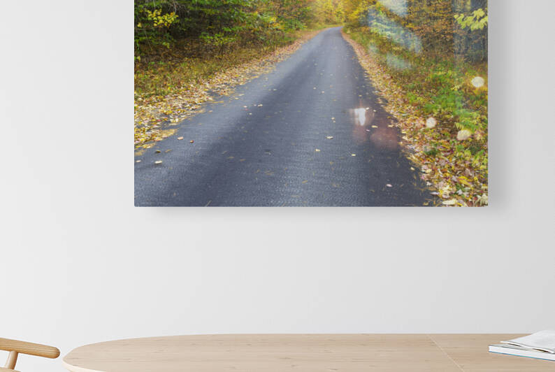 Tunnel Brook Road - Easton New Hampshire by ScenicNH Photography