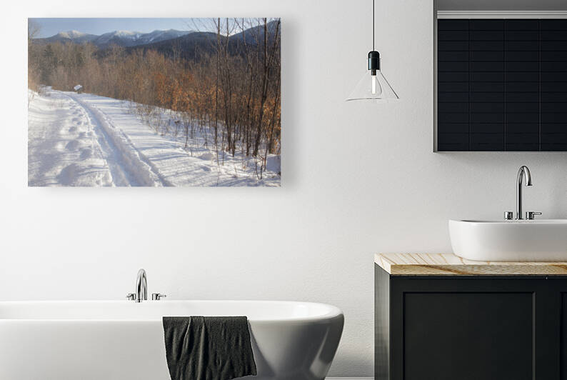 Forest Discovery Trail - White Mountains New Hampshire by ScenicNH Photography