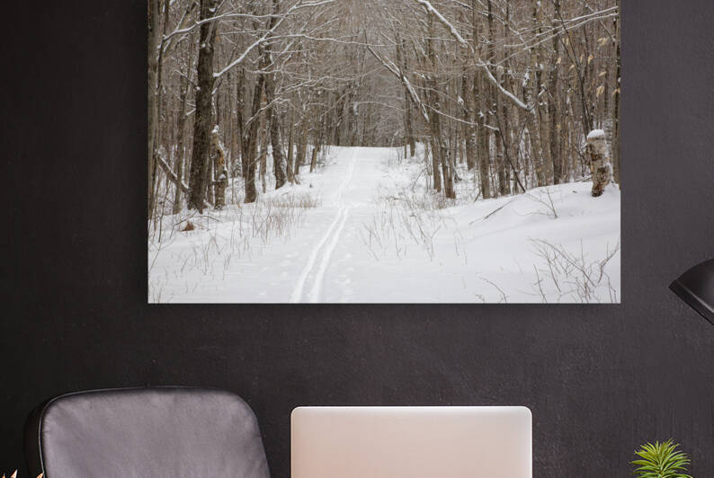 Lafayette Ski Trails - Franconia New Hampshire by ScenicNH Photography