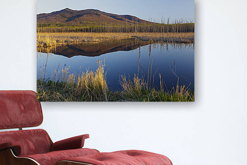 Pondicherry Wildlife Refuge - Jefferson New Hampshire by ScenicNH Photography