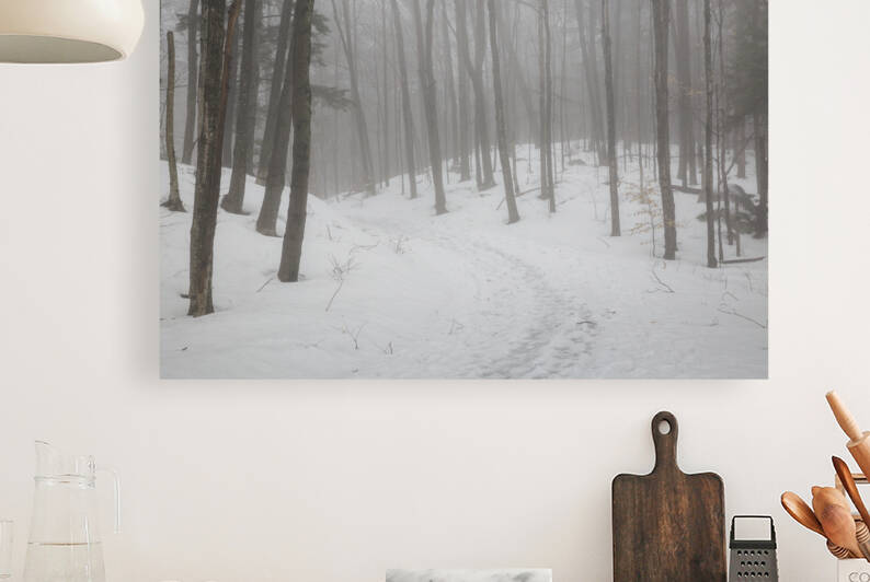 Flume Gorge - Lincoln New Hampshire by ScenicNH Photography