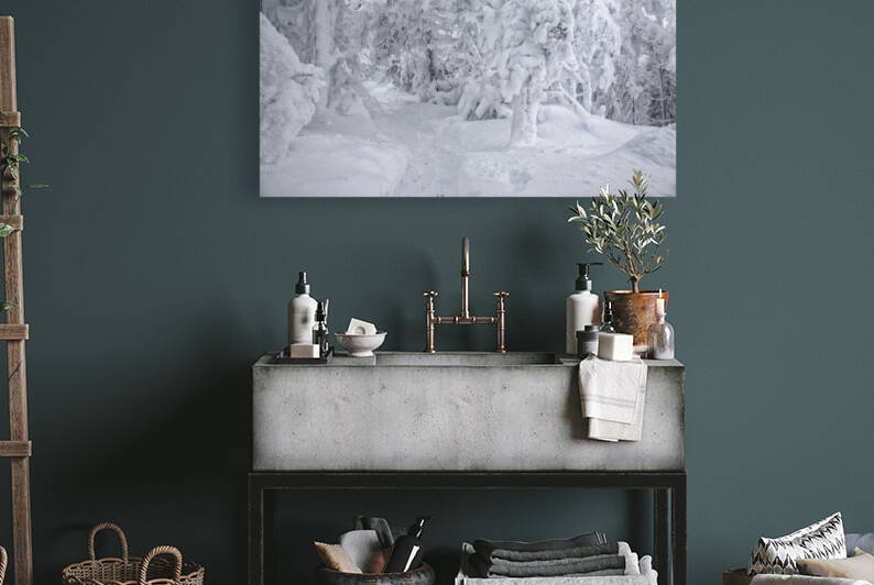 Franconia Notch State Park - Kinsman Ridge Trail by ScenicNH Photography