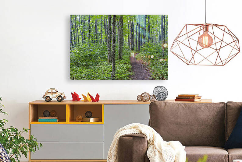 Osseo Trail - White Mountains New Hampshire by ScenicNH Photography