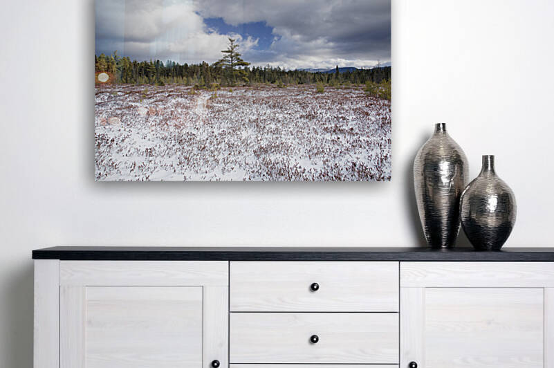 Church Pond - White Mountain National Forest  by ScenicNH Photography