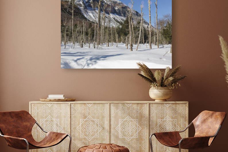 Pemi Trail - Franconia Notch White Mountains by ScenicNH Photography