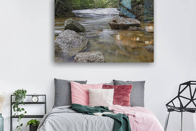 Bartlett Experimental Forest - Bartlett New Hampshire by ScenicNH Photography