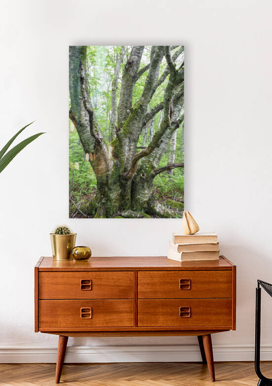 Kinsman Notch - White Mountains New Hampshire by ScenicNH Photography