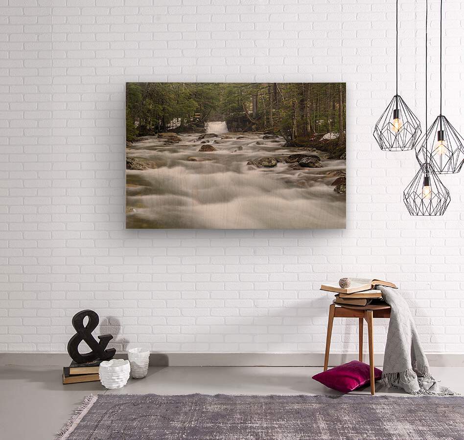 The Baby Flume - Franconia Notch State Park New Hampshire  Wood print