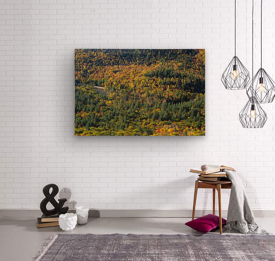 Boulder Loop Trail - White Mountains New Hampshire  Wood print