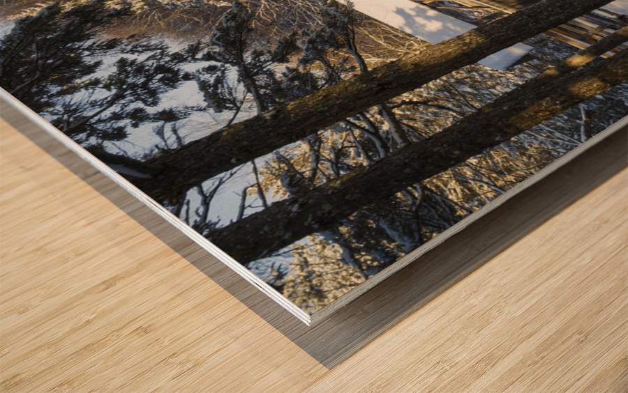 Sentinel Pine Covered Bridge - Franconia Notch New Hampshire Wood print