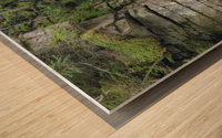 Bemis Brook Falls - Harts Location New Hampshire Wood print