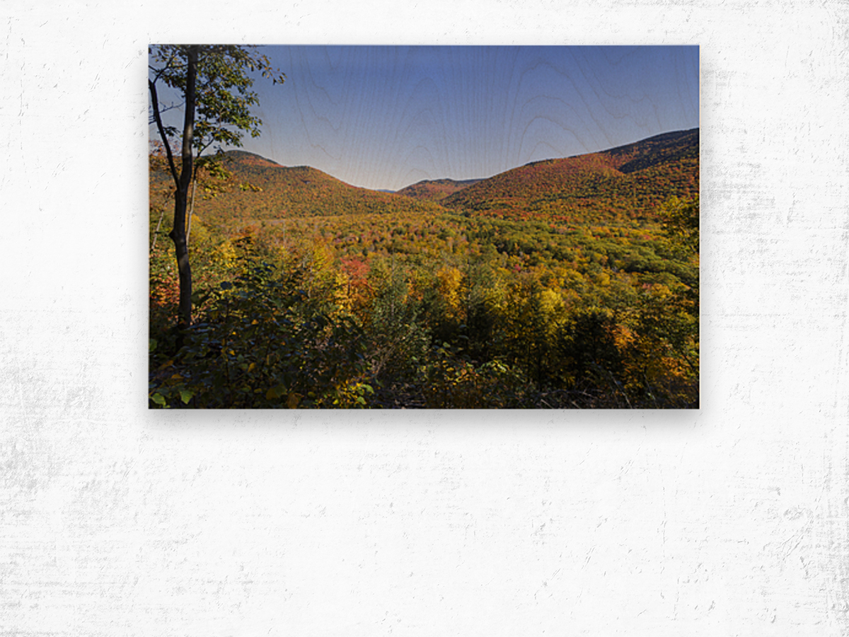 Crawford Notch - Harts Location New Hampshire Wood print