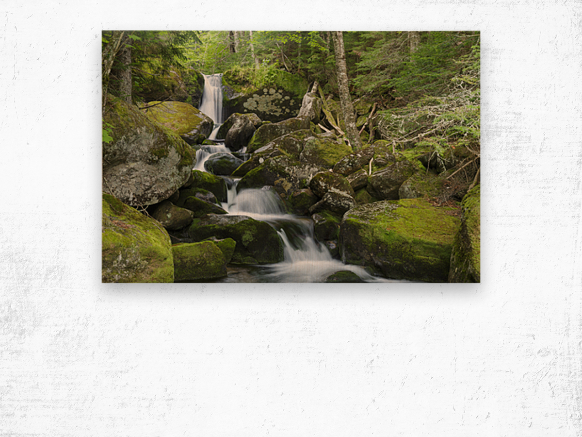 Cold Brook - Low and Burbanks Grant New Hampshire Wood print