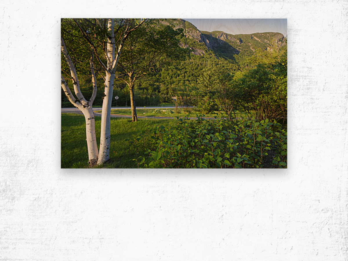 Eagle Cliff - Franconia Notch State Park New Hampshire Wood print