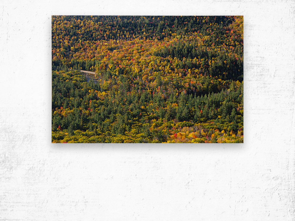 Boulder Loop Trail - White Mountains New Hampshire Wood print